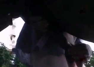 Bestiality banging with a gorgeous cock