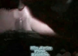 Insane animal sex with gorgeous-looking sluts