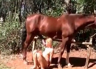 This girl cannot stop gulping dog jizz