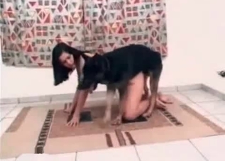 Dog is happy to fuck her yearning holes