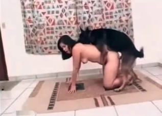 Dog is happy to fuck her yearning holes