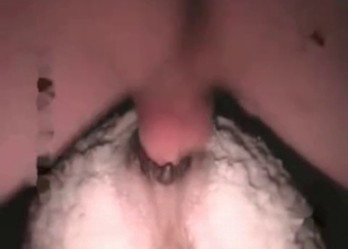 Bestiality banging with anal elements