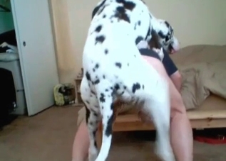 Bestiality banging with a cute-looking doggo
