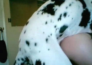 Bestiality banging with a cute-looking doggo