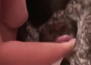 Tiny dog cannot stop fucking on camera