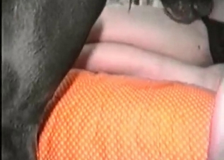 Incredible-looking babe banged by a horny doggo