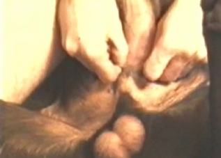 Innocent chick turns into a beast cock fiend
