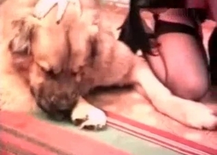 Tight pussy cutie getting drilled by a dog