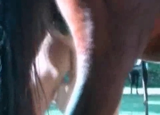 Easy zoophile chick seduced by a stallion