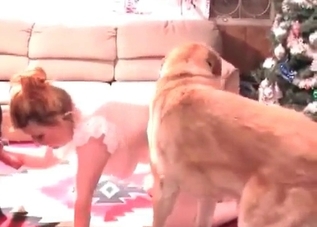 Two youthful dogs and a kinky redhead