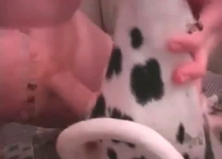 Dirty dog enjoying hardcore bestiality on cam