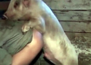 Guy's asshole is getting fucked in this bestiality clip