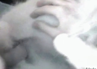 Tight booty cutie fucking a dog on camera