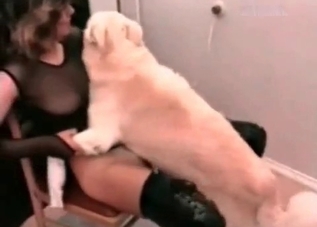 Insane sex session with a hulking dog