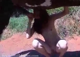 Horse dicking getting sucked by a thin zoophile