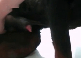 Beautiful bestiality with a kinky black dog