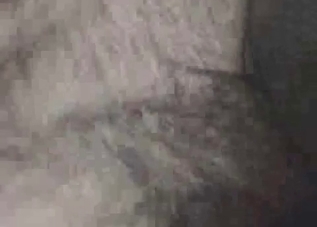 Two naughty doggies enjoying bestiality