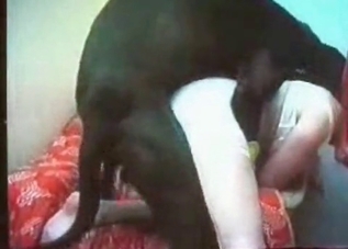 Mature chick cannot stop fucking animals