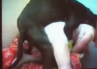 Mature chick cannot stop fucking animals