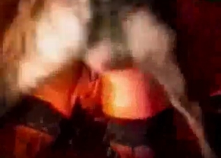 Bestiality banging recorded on camera