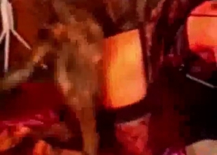 Bestiality banging recorded on camera