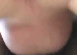 Guy is happy to shove his cock up horse's ass
