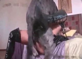 Tight zoophile chick enjoying this dog's dick