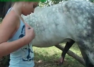 Horse dong is getting stroked by a blonde