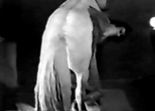 Big-dicked pony showing off on cam