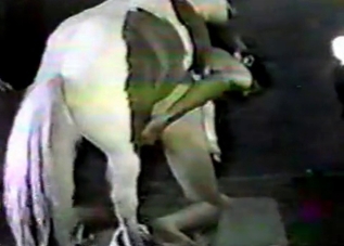 Big-dicked pony showing off on cam