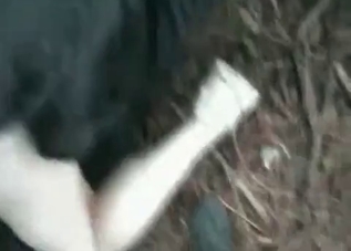 Horny dog gets to fuck outdoors