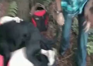 Horny dog gets to fuck outdoors