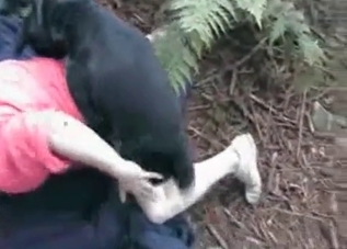 Horny dog gets to fuck outdoors