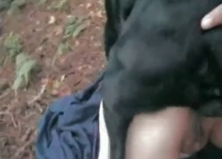 Horny dog gets to fuck outdoors