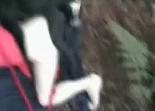 Horny dog gets to fuck outdoors