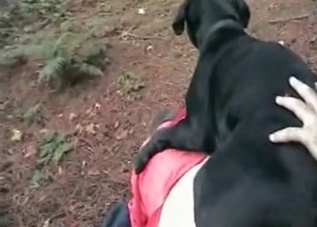 Horny dog gets to fuck outdoors
