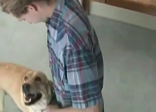 Smart dog knows how to fuck on camera
