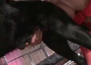 Black dog is into kinky fucking on camera