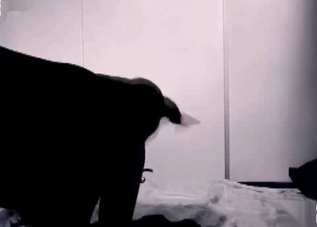 Kinky doggy enjoying this twisted slut's pussy