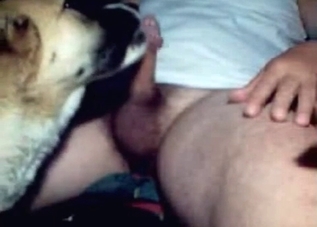 Pussy-loving doggo licking it on camera