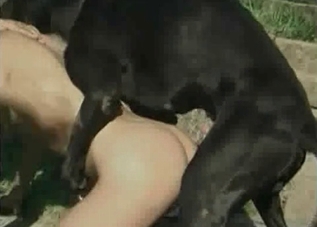 Poolside pounding with a kinky doggo