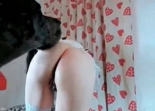 Horny dark-haired girl enjoying bestiality