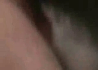 Hardcore fucking with an incredible dog