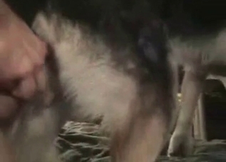 Hardcore fucking with an incredible dog