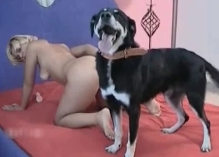 Incredibly dirty dog is into humans