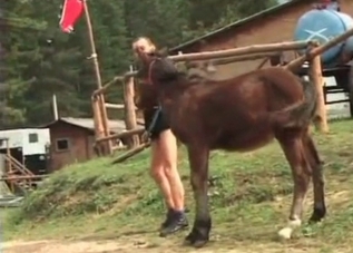 Guy is sniffing horse's ass for some reason