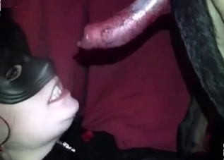 Dog cock is getting orally pleasured by a masked slut