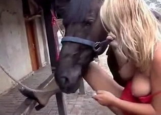 This pony is obsessed with eating human pussy