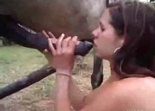 Hung horse destroys this dark-haired chick on cam