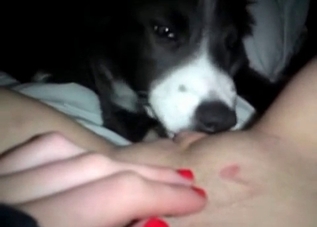 POV fucking session with a twisted mutt